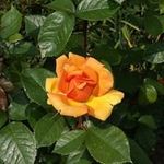 Barbara Spence - @barbara.spence46 - Instagram