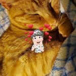 Barbara Stapleton - @barbara.stapleton.733 - Instagram