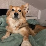 @barbarastecher - Instagram