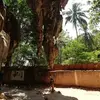 Barbara Steiner - @barbara.steiner7 - TikTok