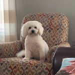 Barbara Pucci Sterling - @barbsterling8 - Instagram