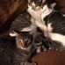 Barbara Sterling - Facebook