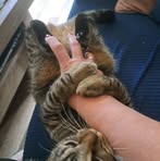 Barbara Stern - Facebook