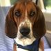 Barbara Stork - Facebook
