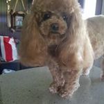 Barbara Stout - @barbara.stout.315 - Instagram