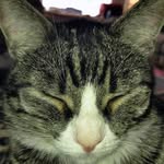 Barbara Stout - @peanut196140 - Instagram