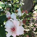 Barbara Stroup - @barbarastroup6071 - Instagram