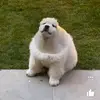 Barbara - @barbarastrunjak - TikTok