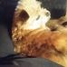 Barbara Stubblefield - Facebook