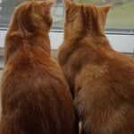 Barbara Stuber - @strueby.stuber - Instagram