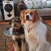 Barbara Sutherland - Facebook