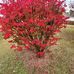 Barbara Swartz - Facebook