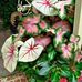 Barbara Sweat - Facebook
