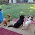 Barbara Sweet - Facebook