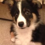 Barbara Swift - @swift1946 - Instagram
