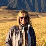 Barbara Swift - @bswiftbear - Instagram