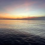 Barbara Taft - @barbt459 - Instagram