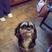 Barbara Taft - Facebook
