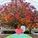 Barbara Taft - Facebook