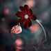 Barbara Teague - Facebook