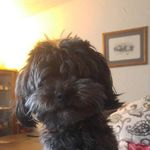 Barbara Teahan - @teahanbarbara - Instagram
