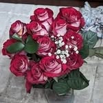 Barbara Teal-Scott - @bascott792025 - Instagram