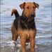 Barbara Tebbe - Facebook