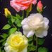 Barbara Tello - Facebook