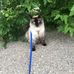 Barb Tkachuk - Facebook