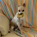 Barbara Tempesta - Facebook