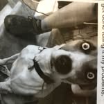 Barbara Templeman - @barbara.templeman - Instagram