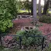 Backyard Wildlife Sanctuary - @barbaratempleton98 - TikTok