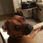 Barbara Tench - Facebook
