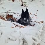 Barbara Tengler - @barbaratengler - Instagram