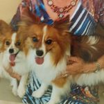 Barbara Tenney - @barbara.tenney2 - Instagram
