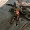 Barbara Tenorio - @barbtenorio - TikTok