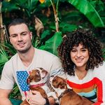 Barbara_Boston_Terriers - @barbara_boston_terriers - Instagram