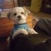 Barbara Tew - Facebook