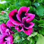 Barbara Thaler Pircher - @barbara_thaler_pircher - Instagram