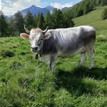 Barbara Thaler Pircher - @ederhof_schenna - Instagram