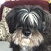 Barbara Tharpe - Facebook