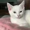 Babs - @barbaratheis2 - TikTok