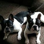 Barbara Theis - @theisbarbara - Instagram
