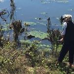 Barbara Theis - @bmtheis - Instagram