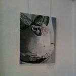 Barbara Haugg Thelen - @hauggthelen - Instagram