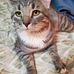 Barbara Thibeault - Facebook