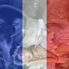 Barbara Thiebault - @barbarathiebault - TikTok