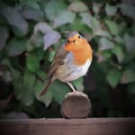 barbandthierryphotos - @barbaraandthierry - Instagram