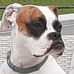 Barbara Thies - Facebook