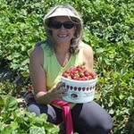 Barbara J. Thommes - @barbarajthommes - Instagram